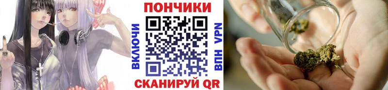 Бошки марихуана VHQ Усть-Джегута